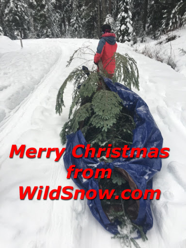 Merry Christmas from WildSnow, 2017 Merry Christmas from WildSnow, 2017
