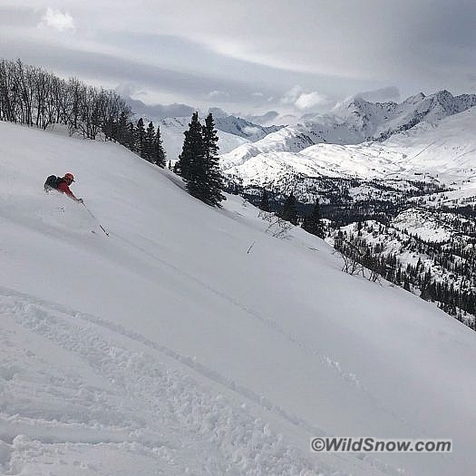 Tree skiing is rare in Valdez, but if the weather and snow doesn’t cooperate plenty of fun can still be had. Tree skiing is rare in Valdez, but if the weather and snow doesn’t cooperate plenty of fun can still be had.