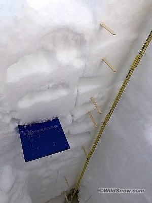 Using a ruler and stir sticks to visually note layer interfaces in a snow pit in the North Cascades. A wedge of snow is taken out at each layer for grain form and size identification.