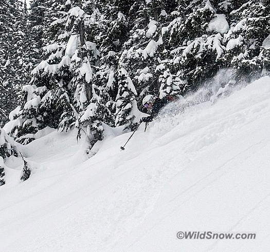 Storm day skiing in in the Illecilewaet Valley - oh so much fun on a run they call the ‘practice slopes’ Storm day skiing in in the Illecilewaet Valley - oh so much fun on a run they call the ‘practice slopes’