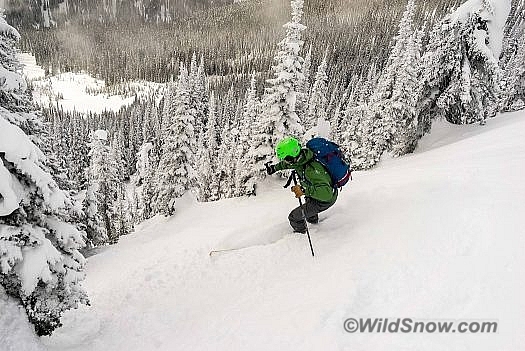 Cody assured us the trees opened up. It’s always nice to follow a local -- indeed awesome tree skiing abounds at McGill Shoulder