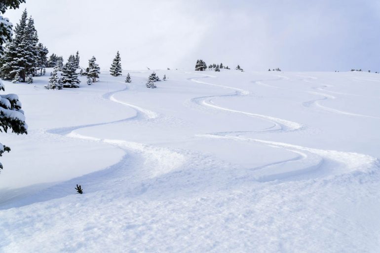 green-ski-tracks