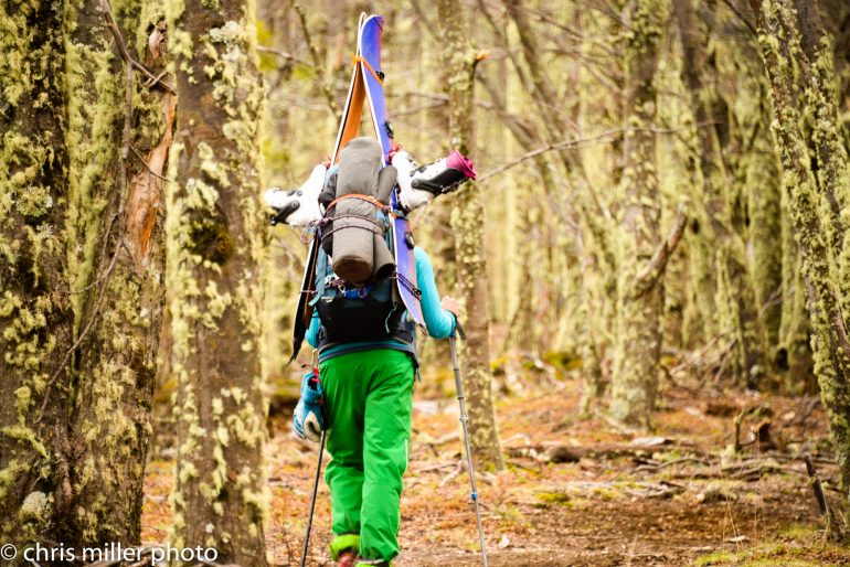 typical Patagonian approach climbing through the Lenga. Lenga is a beautiful deciduous tree found in Patagonia. The old growth is your friend, the young ones are your enemy for they are stout and are nearly impassible when bushwhacking
