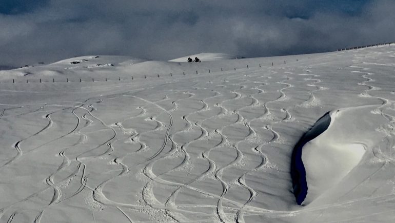 Some days it's like "mowing the lawns," line after fresh line, all to oneself. No skins were used in tracking out of this hill (which took only about 30 minutes)