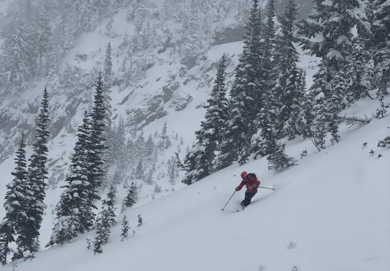 Louie finding some fresh pow that was mostly deep enough to ski.