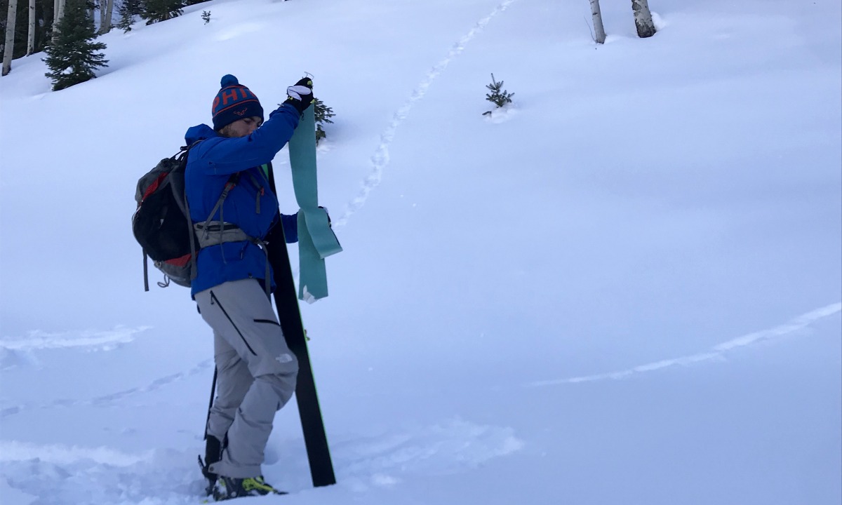 Once you're out of the ski, peel your skins apart. Some people peel them all the way apart, others use the ski to provide counter tension.