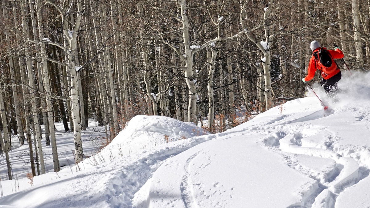 Lapping lumpy low angle powder early season. The 178 Intention 110 really excelled in pillowy terrain and tree skiing.