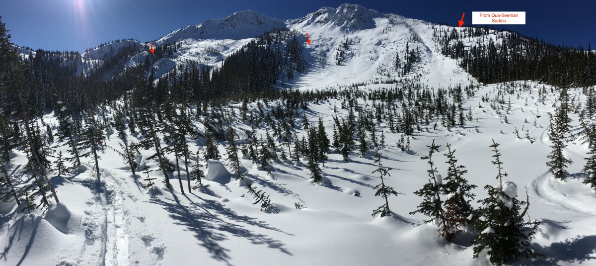 Paired with a topo map, a guidebook description, and Google Earth, a good terrain photo gives a sense of how easy or difficult it will be to avoid avalanche-prone terrain. This photo of the approach to Clearwater Pass, near Nelson, BC, shows huge terrain above, capable of producing large, destructive avalanches. It also shows vegetation clues of past avalanching. If the team's mindset on the day is defensive or stepping back, then the photo captures just the type of terrain to avoid. Red arrows indicate geographic landmarks, ski runs, or spots to avoid.