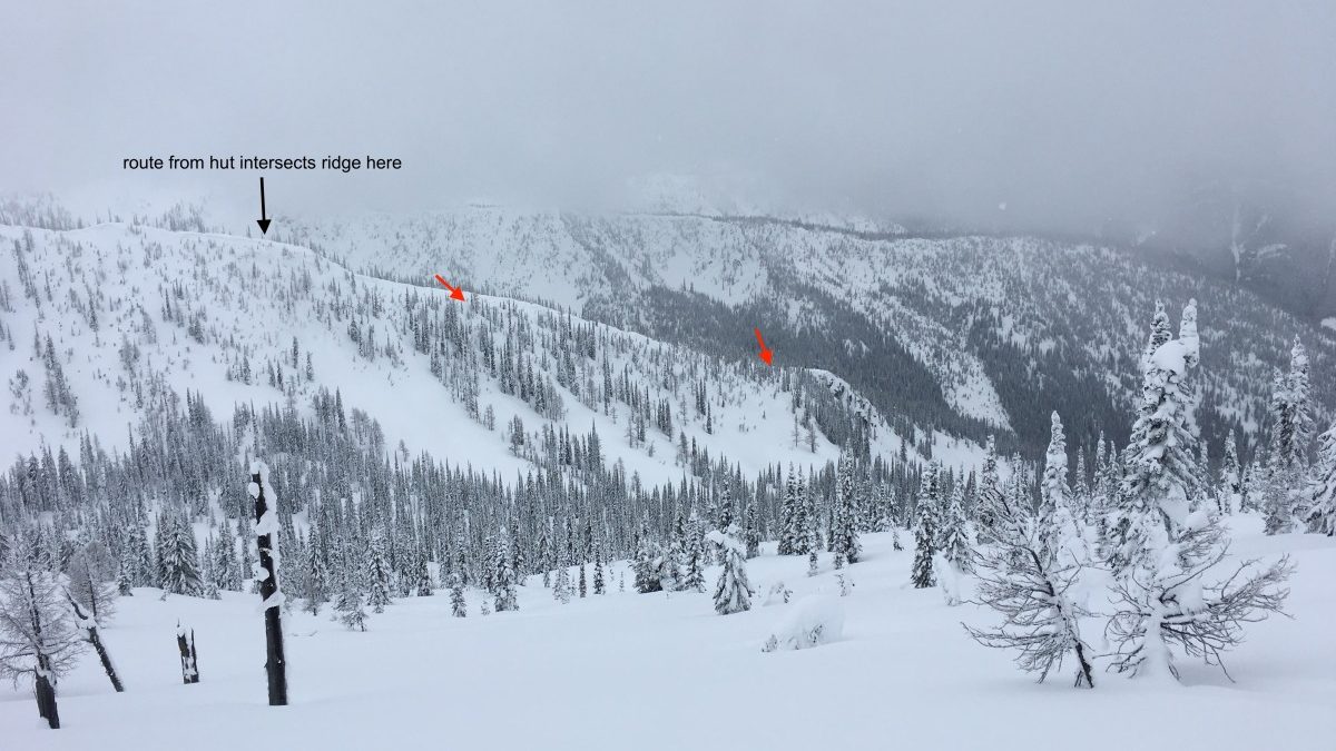 Another terrain image from a guide's run atlas, this one depicting several drop-in points along a ridge. A teammate or colleague onsighting this terrain will appreciate good imagery, helping them find the best turns and get oriented. On a day where a team has a "stepping out cautiously" mindset, pushing into slightly more exposed terrain like this might be appropriate and good photos will help.