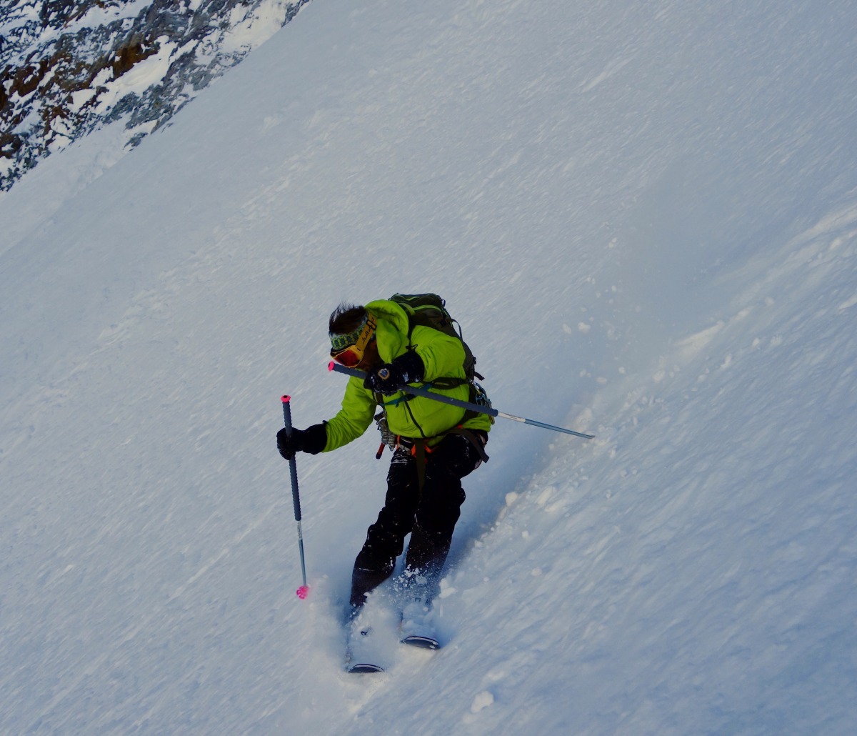 Coomb's folding pole
