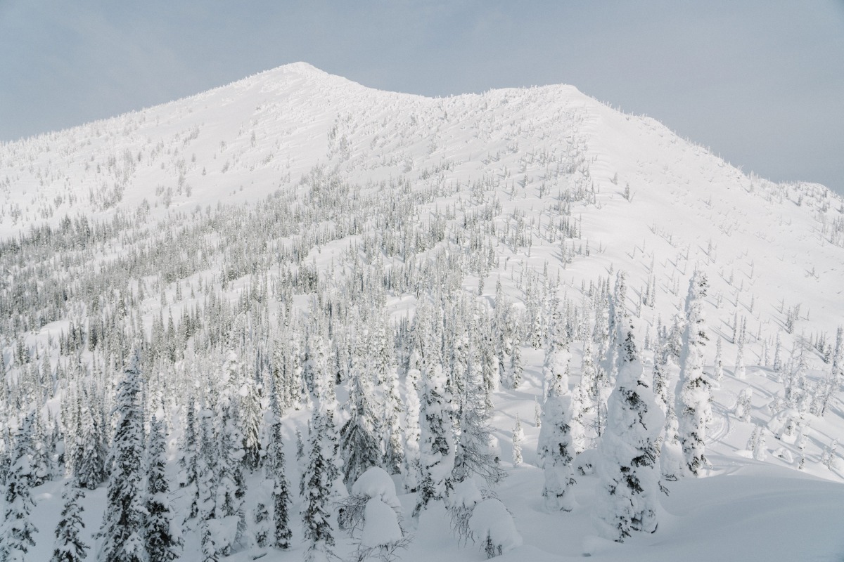 Good skiing to be had … but first you gotta get there. The deep snowpack of the Kootenays, outside Nelson, British Columbia. Photo: Matt Kennedy
