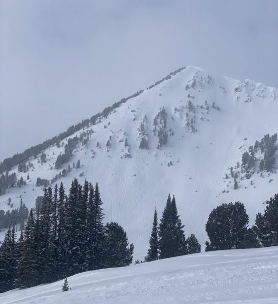 The snow continued to stabilize as our trip progressed. Towards the end of the trip, we pushed our terrain comfort a bit, coming back to Scotch Bonnet, skiing the shoots seen in this photo. You can spot our tracks in the shoots on the left. Louie and I went back and skied the shoots to the right in later runs. It was phenomenal skiing!