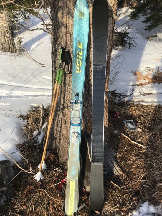 Low-angle, low tide exploration through brushy thickets capitalizes on the strengths of the Vector BC. When conditions are less than stellar, these skis open up options that would otherwise be impractical.