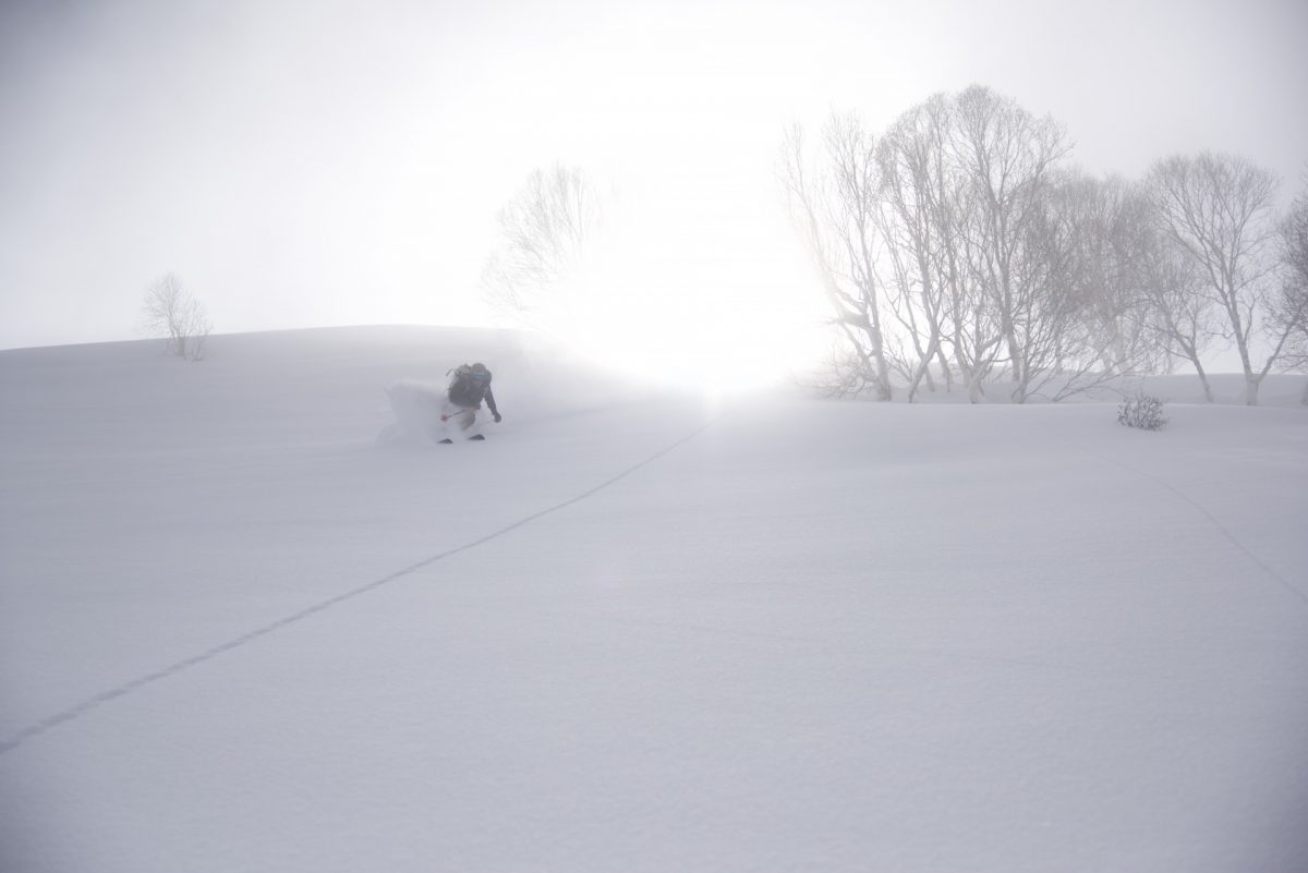 Luke Smithwick and some Himalayan Birch tree skiing.