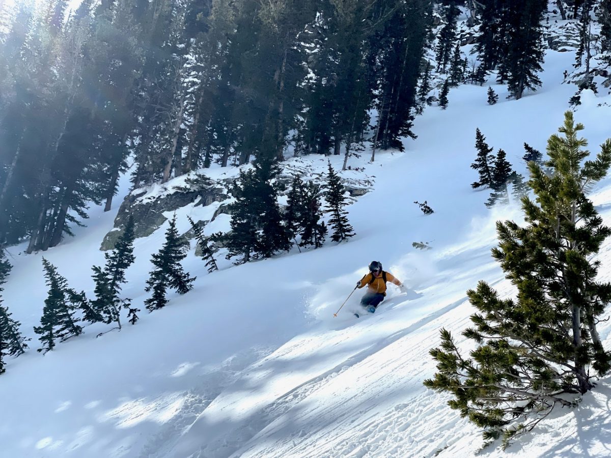 OGSO Schwarztor 100 SR ULs offer a very modern shape for very fun skiing.