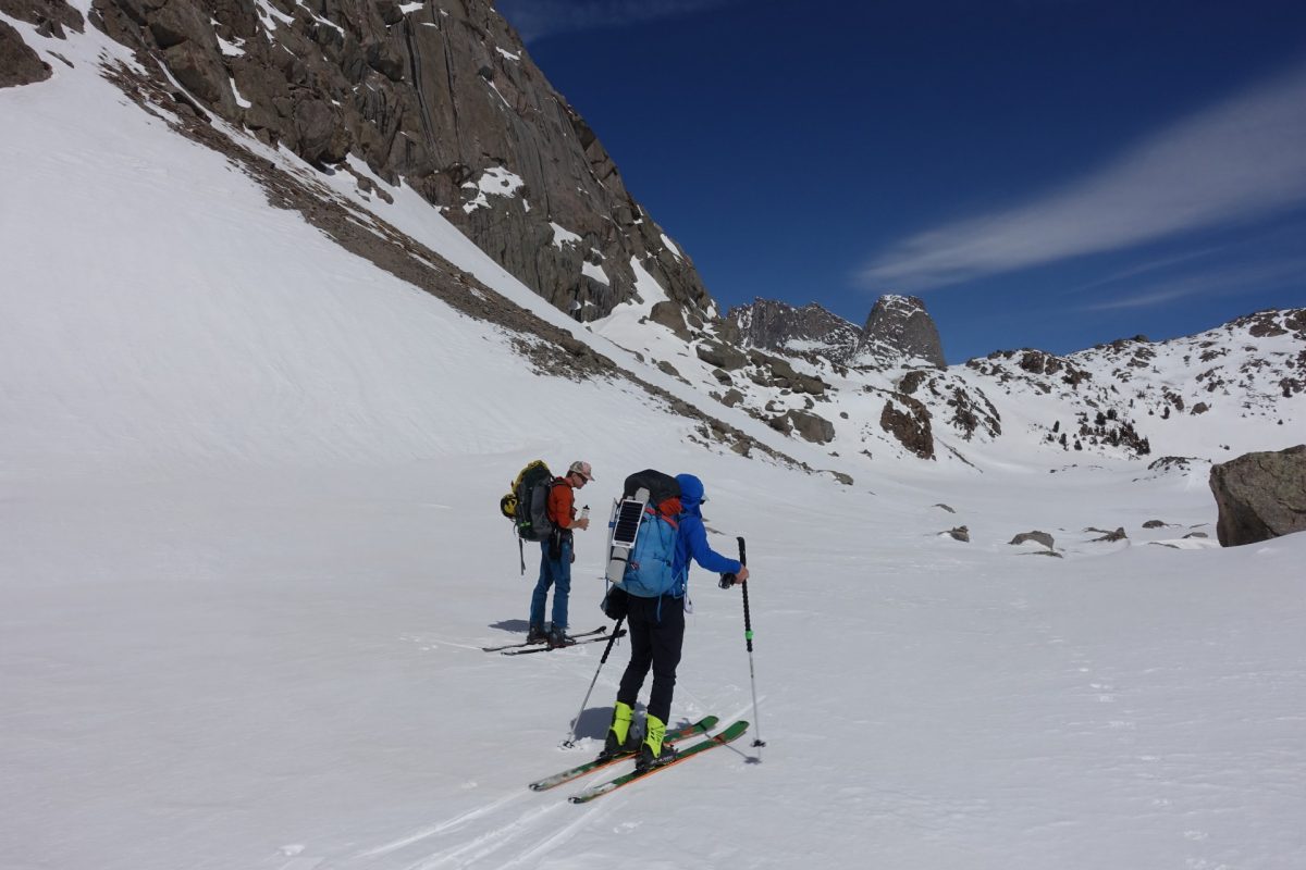 Wolverine tracks lead towards the high point on Jackass Pass.