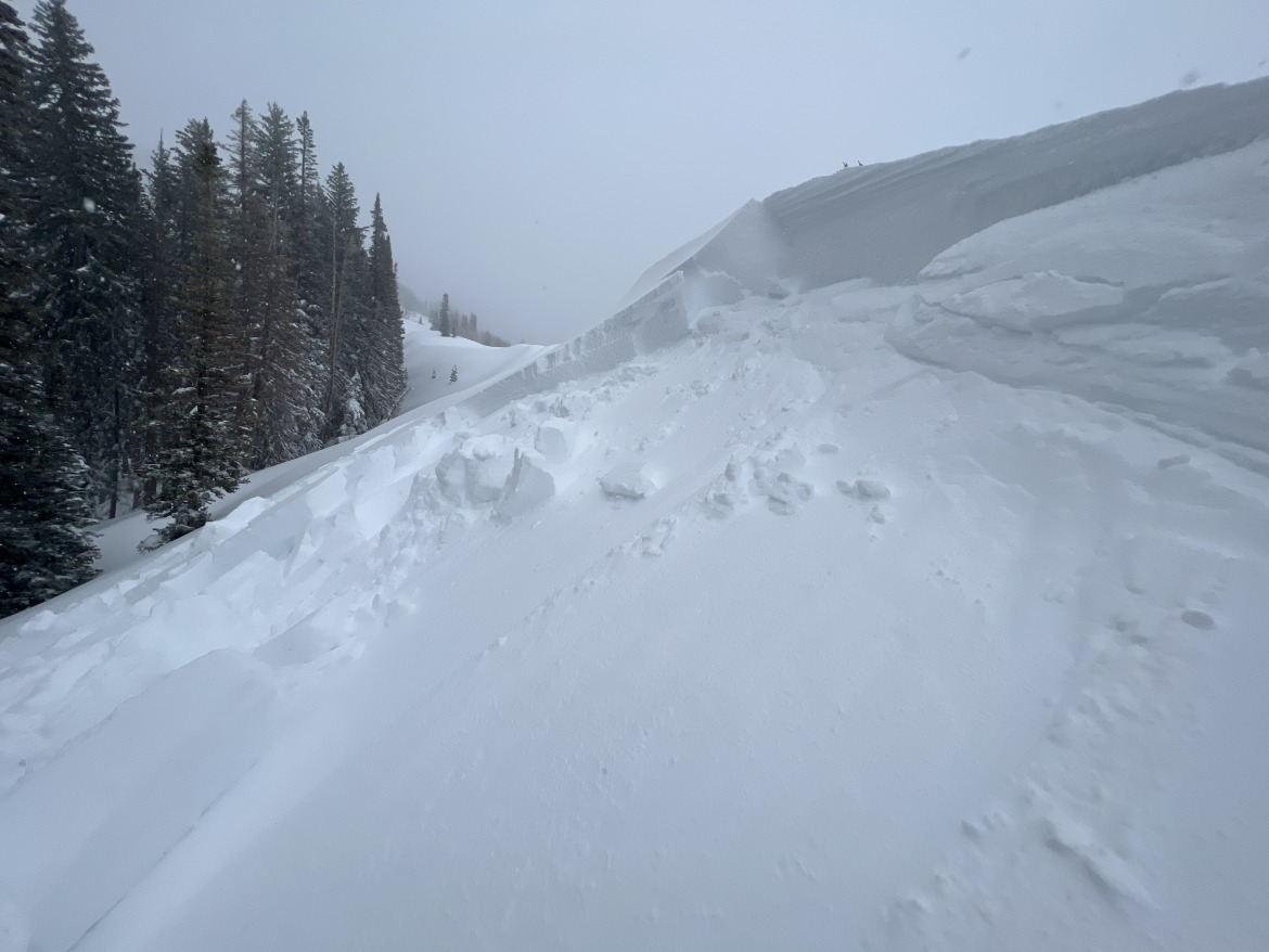 Avoiding avalanches is a primary aim of level one classes.