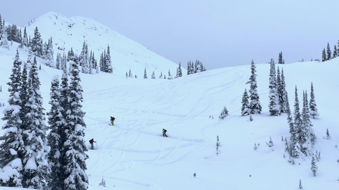Ski Touring Boot Range Of Motion Survey: Melihat Tanggapan